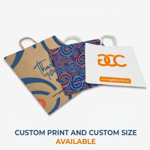Twisted Handle Paper Bags