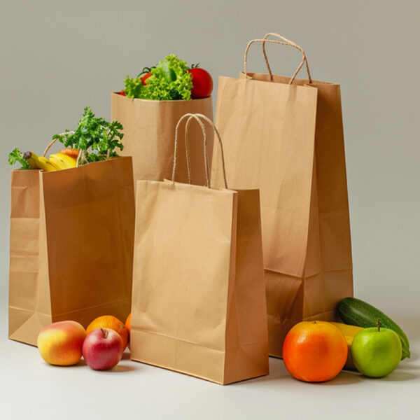 Twisted Handle Paper Bags