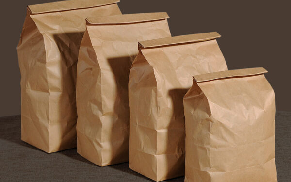 Paper Flour Bags