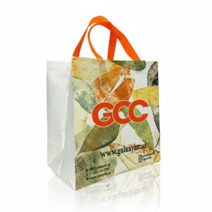Non Woven Laminated Bags